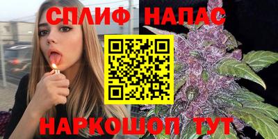 дживик Гай
